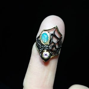 Spider in the Web Ring d5